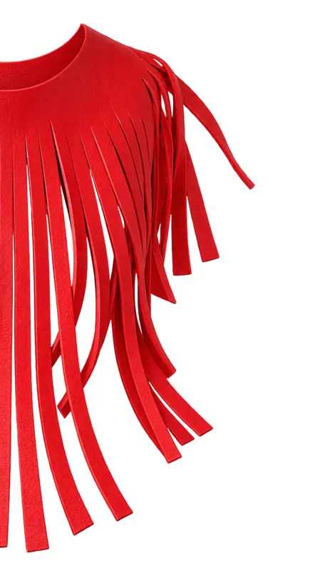 The Sally, leather fringe necklace