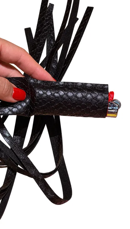 The Stevie, lighter case